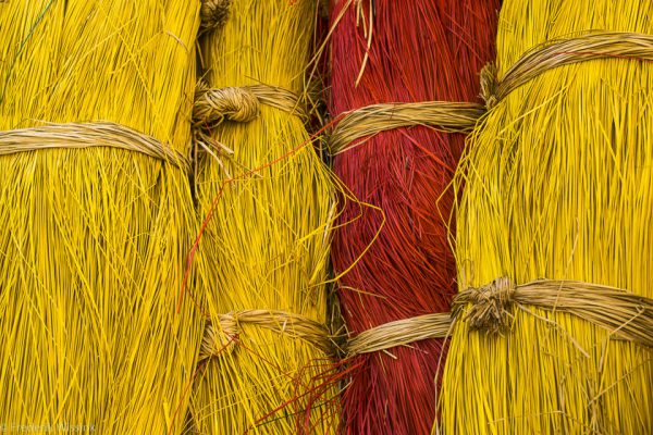 Red and Yellow Grass Print