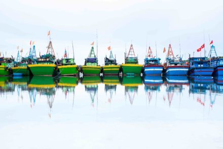 Waiting in the Harbour