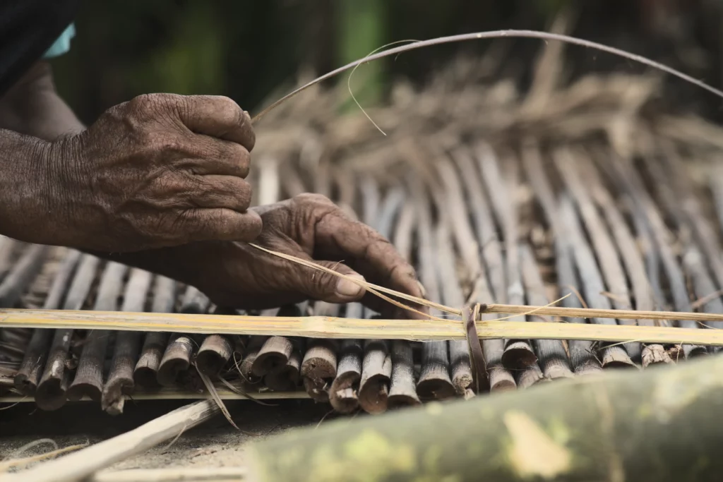 weathered hands binding nipa palms